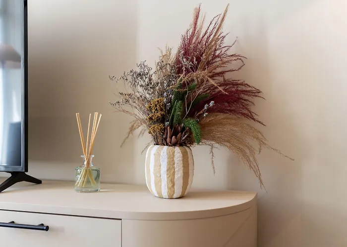 Ando Living - Santa Catarina House アパート